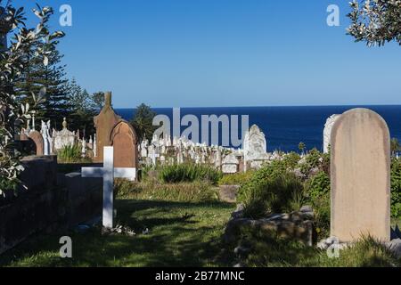 La cémétrie Waverley est une cémétrie classée au patrimoine sur les falaises de Bronte dans la banlieue est de Sydney, Nouvelle-Galles du Sud, Australie. La promenade côtière wa Banque D'Images