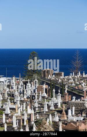 La cémétrie Waverley est une cémétrie classée au patrimoine sur les falaises de Bronte dans la banlieue est de Sydney, Nouvelle-Galles du Sud, Australie. La promenade côtière wa Banque D'Images