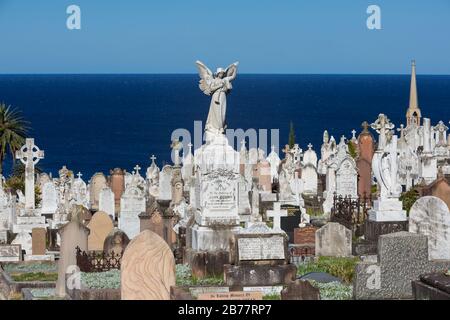 La cémétrie Waverley est une cémétrie classée au patrimoine sur les falaises de Bronte dans la banlieue est de Sydney, Nouvelle-Galles du Sud, Australie. La promenade côtière wa Banque D'Images