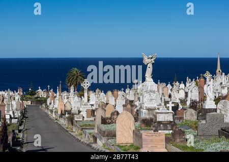 La cémétrie Waverley est une cémétrie classée au patrimoine sur les falaises de Bronte dans la banlieue est de Sydney, Nouvelle-Galles du Sud, Australie. La promenade côtière wa Banque D'Images