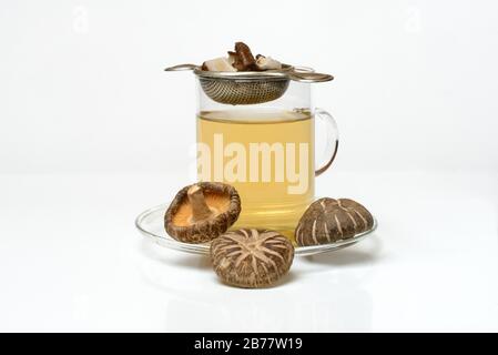 Thé shiitake en verre de thé avec tamis à thé et champignons shiitake, Allemagne Banque D'Images