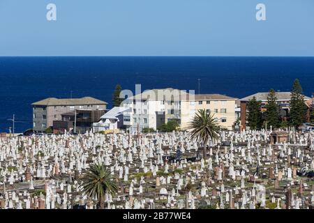 La cémétrie Waverley est une cémétrie classée au patrimoine sur les falaises de Bronte dans la banlieue est de Sydney, Nouvelle-Galles du Sud, Australie. La promenade côtière wa Banque D'Images