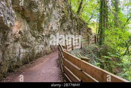 Route panoramique vers le Sanctuaire de San Romedio trentino, Trentin-haut-adige, nord de l'italie - Europe. Sentier panoramique sculpté dans la roche Banque D'Images