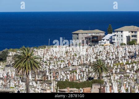 La cémétrie Waverley est une cémétrie classée au patrimoine sur les falaises de Bronte dans la banlieue est de Sydney, Nouvelle-Galles du Sud, Australie. La promenade côtière wa Banque D'Images