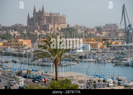 Palma de Majorque, Majorque dans les îles Baléares Banque D'Images