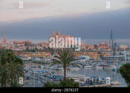 Palma de Majorque, Majorque dans les îles Baléares Banque D'Images