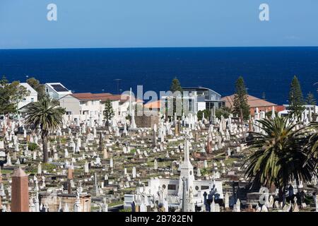 La cémétrie Waverley est une cémétrie classée au patrimoine sur les falaises de Bronte dans la banlieue est de Sydney, Nouvelle-Galles du Sud, Australie. La promenade côtière wa Banque D'Images