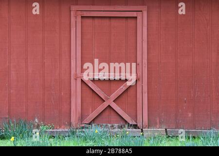 une double porte rouge de grange agricole avec chemin d'herbe Banque D'Images