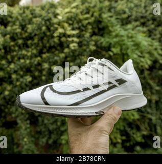 Paris, France - 23 sept. 2019 : homme POV montre la main sur fond vert chaussure de course professionnelle fabriquée par Nike modèle Zoom Rival Fly Banque D'Images