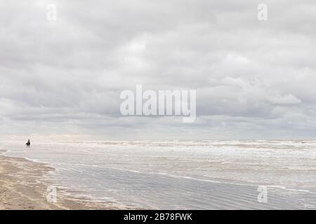 Koksijde, Belgique - 26 février 2020: Un cavalier solitaire sur la plage pendant une journée froide et venteuse Banque D'Images
