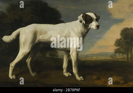 George-Stubbs-Portrait-de-un-chien-blanc-la-propriété-de-Lord-Gormanston-oop-fr. Banque D'Images