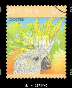 L'AUSTRALIE - circa 1987 : timbre-poste imprimé en Australie, montre bird-soufre cacatoès à huppe jaune (Cacatua galerita), vers 1987 Banque D'Images