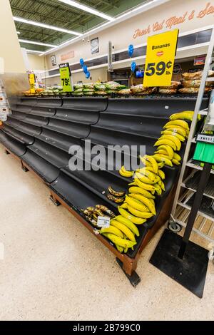 Les étagères vides de bananes dans une épicerie de supermarché car le coronavirus provoque la peur et la panique verticale Banque D'Images