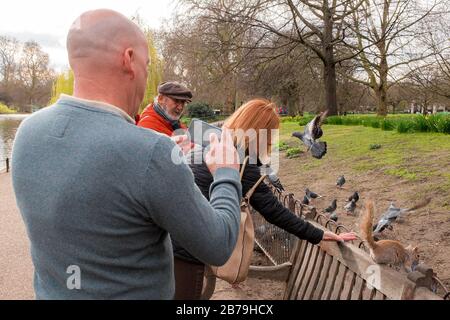 Les gens qui nourrissent des oiseaux et des écureuils à St James Park, Westminster, Londres, Royaume-Uni Banque D'Images