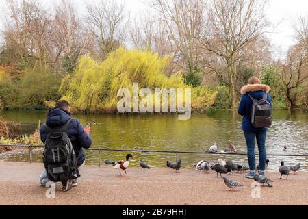 Les gens qui nourrissent des oiseaux et des écureuils à St James Park, Westminster, Londres, Royaume-Uni Banque D'Images