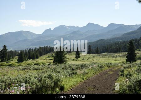 Beartooth Mountains Loom au-dessus de Wide Trail dans la nature sauvage de Yellowstone Banque D'Images