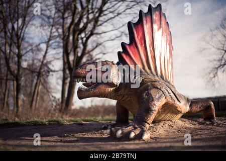 LUBIN, POLOGNE - 11 DÉCEMBRE 2017 - modèle réaliste du dinosaure Dimetrodon angelensis dans le parc Wroclawski. Park est une attraction touristique bien connue pour le ch Banque D'Images