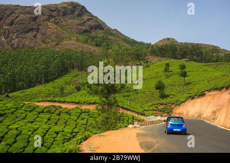 Route sinueuse le long des belles plantations de thé dans les collines Munnar (Kerala, Inde) Banque D'Images