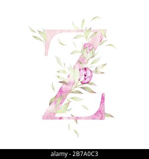 Lettre D. Alphabet. Rose clair. Décor floral. Aquarelle. Fond blanc. Qualité d'impression Banque D'Images