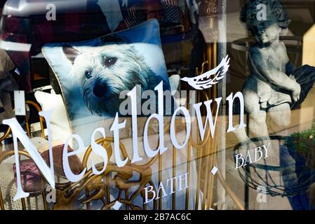 Un gros plan d'une photo d'un terrier sur un oreiller de soie dans la fenêtre d'affichage de la boutique Nestlup, une boutique de luxe en lin à Scottsdale, AZ, Banque D'Images