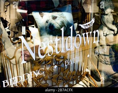 Un gros plan d'une photo d'un terrier sur un oreiller de soie dans la fenêtre d'affichage de la boutique Nestlup, une boutique de luxe en lin à Scottsdale, AZ, Banque D'Images