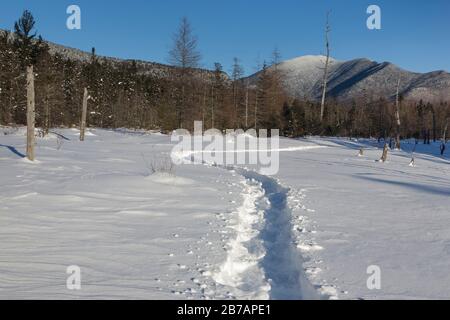 Mont Carrigain du Meadow Brook le drainage le long du sentier de la rivière Sawyer à Livermore, New Hampshire pendant les mois d'hiver. Ce domaine a été identifié Banque D'Images