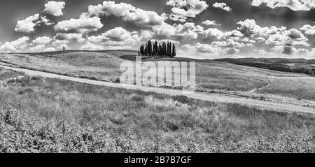 SAN QUIRICO d'ORCIA, ITALIE - 23 JUIN: Vue panoramique d'un groupe emblématique de cyprès à San Quirico d'Orcia, province de Sienne, Toscane, Italie, comme voir Banque D'Images