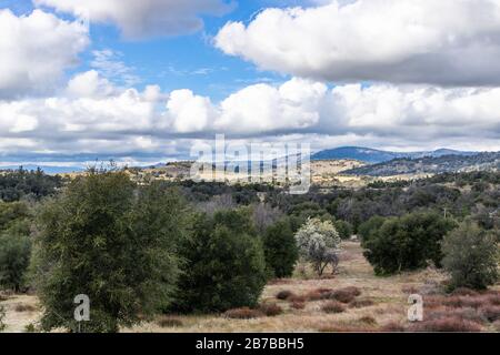 Nuages et brume sur les collines ondulantes au printemps avec le poirier en fleur, les chênes et le sarrasin côtiers vivants dans le paysage de Julian Californie Banque D'Images