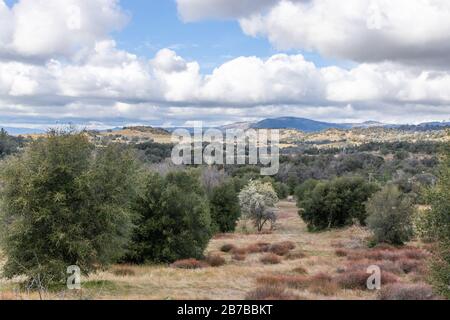 Nuages et brume sur les collines ondulantes au printemps avec le poirier en fleur, les chênes et le sarrasin côtiers vivants dans le paysage de Julian Californie Banque D'Images