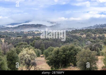 Nuages et brume sur les collines ondulantes au printemps avec le poirier en fleur, les chênes et le sarrasin côtiers vivants dans le paysage de Julian Californie Banque D'Images