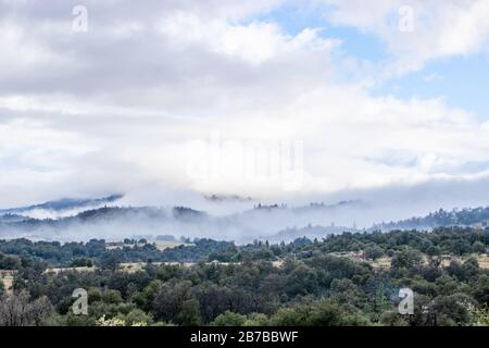 Les rochers et la brume sur les collines ondulantes au printemps, les chênes côtiers vivent dans le paysage de Julian California Banque D'Images