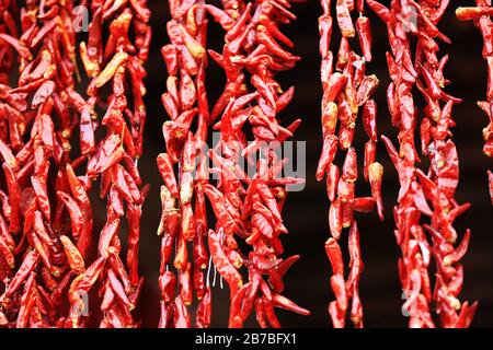 Des piments rouges accrochent au mur Banque D'Images