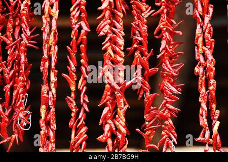 Des piments rouges accrochent au mur Banque D'Images