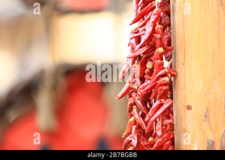 Des piments rouges accrochent au mur Banque D'Images