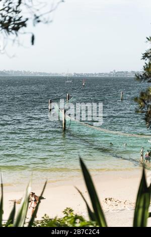 Le réseau de requins à Shark Beach, Nielsen Park, Vaucluse. Banque D'Images