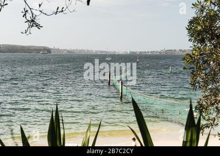 Le réseau de requins à Shark Beach, Nielsen Park, Vaucluse. Banque D'Images