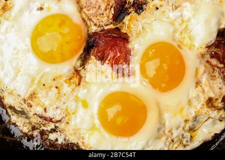 Œufs frits avec tomates dans une poêle à frire Banque D'Images