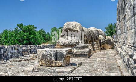 Les tambours de colonne sont tombés par un tremblement de terre, Temple d'Apollon, Didyma, Turquie, lors d'une journée d'été ensoleillée Banque D'Images