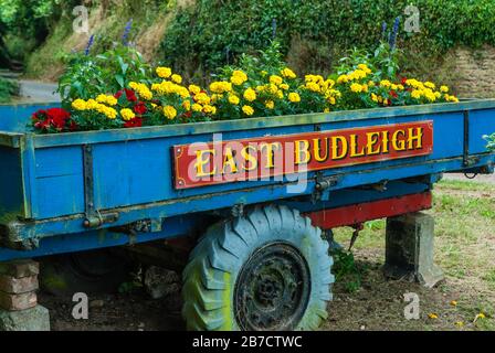 Compétition Grande-Bretagne à Bloom à East Budleigh Banque D'Images