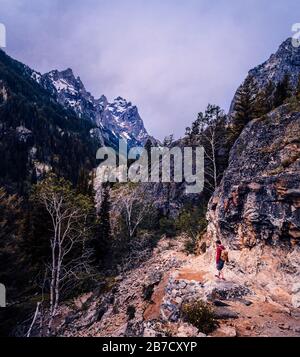 Homme en haut rouge randonnée sur la piste de montagne dans le grand parc national de tetons Wyoming USA Banque D'Images