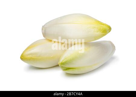 Tas de tout frais brut belge endive isolé sur fond blanc Banque D'Images
