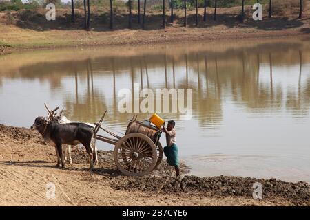 Approvisionnement en eau, pays entre Nyaung U et Popa Mountain, région de Mandalay, Myanmar, Asie Banque D'Images