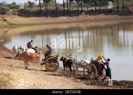 Approvisionnement en eau, pays entre Nyaung U et Popa Mountain, région de Mandalay, Myanmar, Asie Banque D'Images