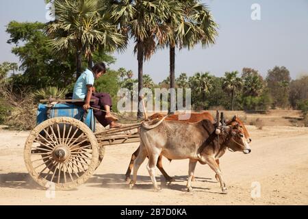 Transport par eau, pays entre Nyaung U et Popa Mountain, région de Mandalay, Myanmar, Asie Banque D'Images