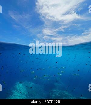 Marins de Méditerranée, de nombreux poissons sous l'eau et ciel bleu avec des nuages, vue fractionnée sur et sous la surface de l'eau, la France, l'Occitanie Banque D'Images