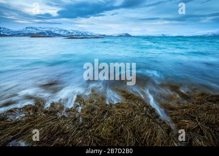 Une photographie avant l'aube des vagues qui s'écrasent sur les rochers près de l'océan à Sommaroy, Norvège Banque D'Images