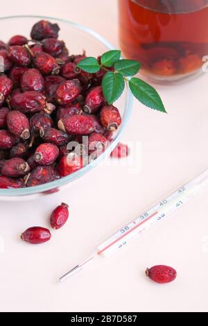 le thé rosehip à remède de la fièvre traditionnel avec des baies de rosehip séchées dans un bol et un thermomètre Banque D'Images