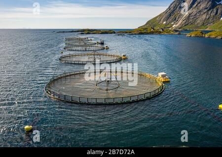 La pêche du saumon d'élevage en Norvège. La Norvège est le plus gros producteur de saumon d'élevage dans le monde, avec plus d'un million de tonnes produites chaque année. Banque D'Images