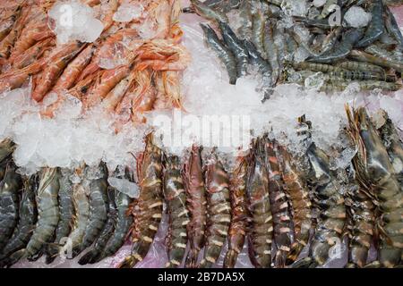 Crevettes fraîches et crevettes sur glace au marché aux poissons Jagalchi, Busan, Corée Banque D'Images