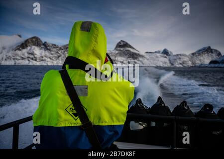 Photographe de sexe masculin qui capture le paysage d'hiver à Senja et dans la chaîne de montagnes Norlandet, en Norvège. Banque D'Images